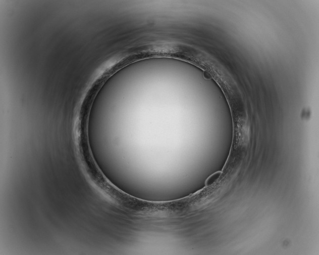 X0000102830726200808181323
