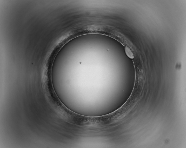 X0000102830727200808181323