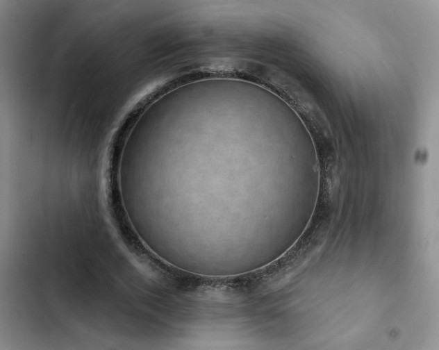 X0000102830728200808181323