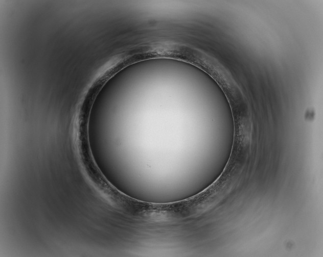 X0000102830730200808181323