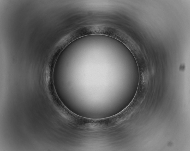 X0000102830733200808181323