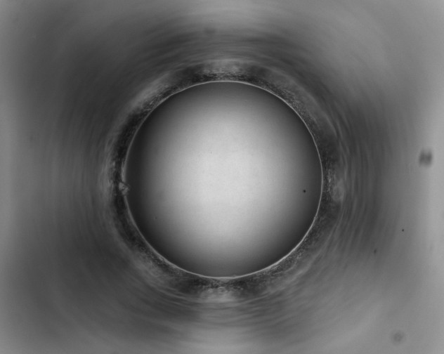 X0000102830735200808181323