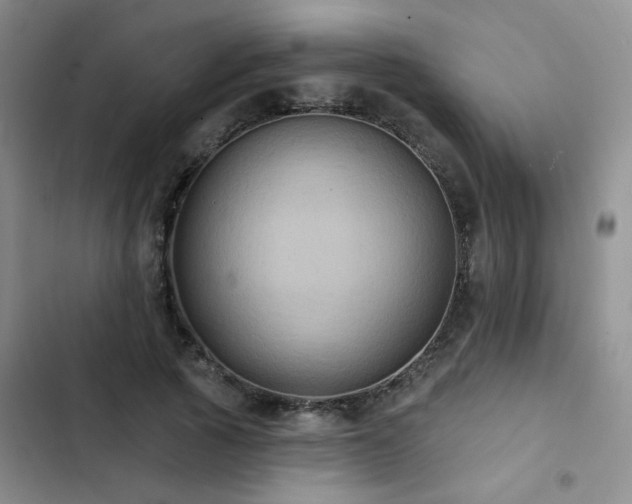 X0000102830737200808181323