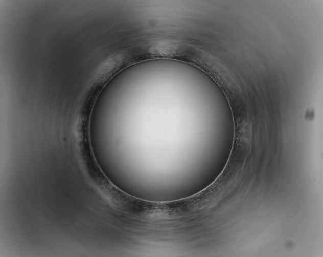 X0000102830738200808181323