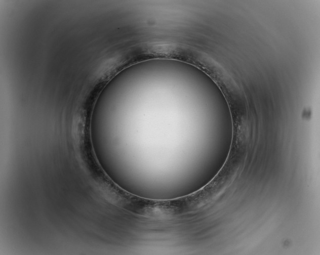 X0000102830739200808181324