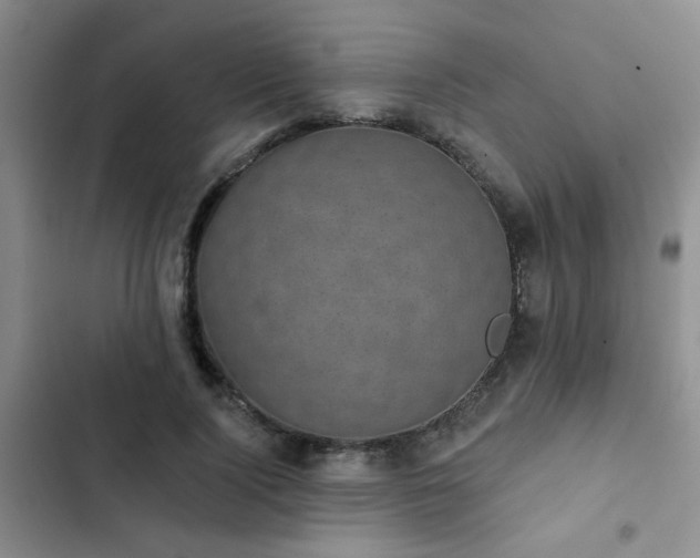 X0000102830740200808181324