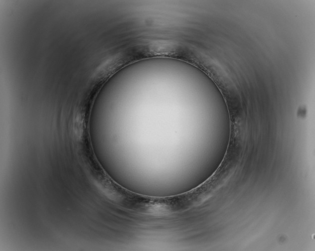 X0000102830741200808181324