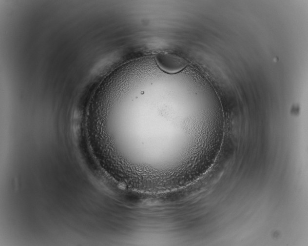 X0000102830742200808181324