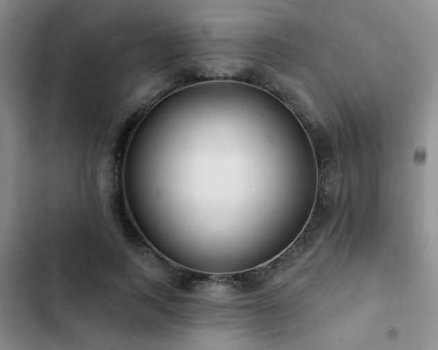 X0000102830743200808181324