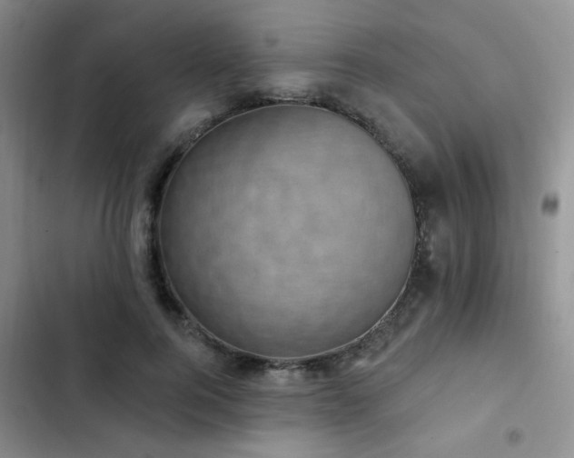 X0000102830744200808181324