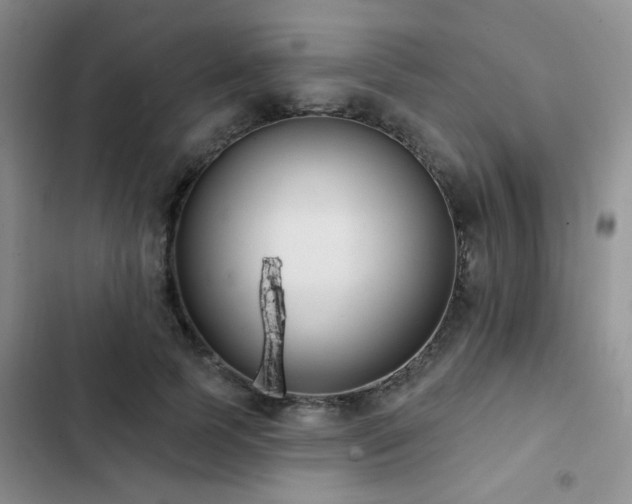 X0000102830745200808181324