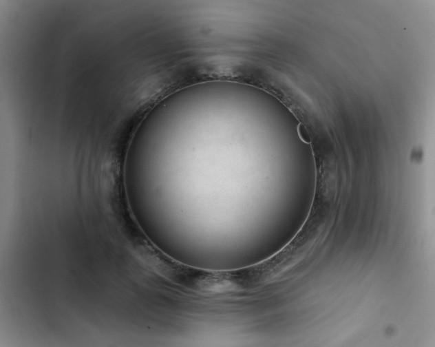 X0000102830747200808181324