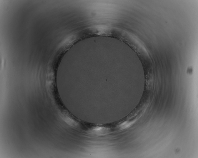 X0000102830748200808181324