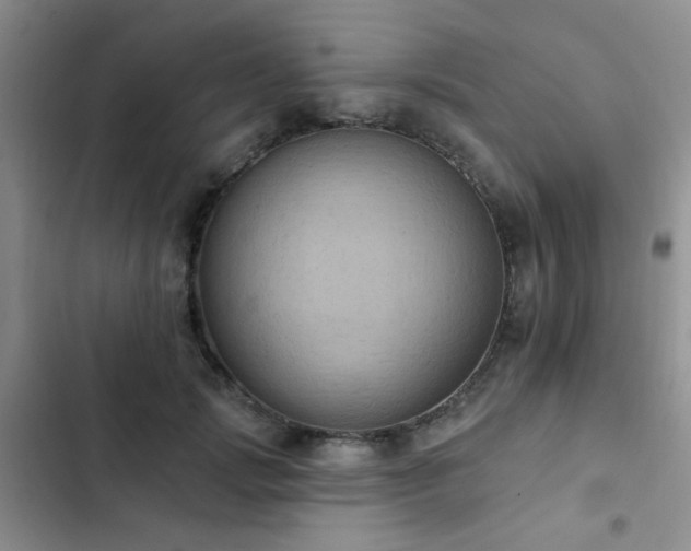 X0000102830749200808181324