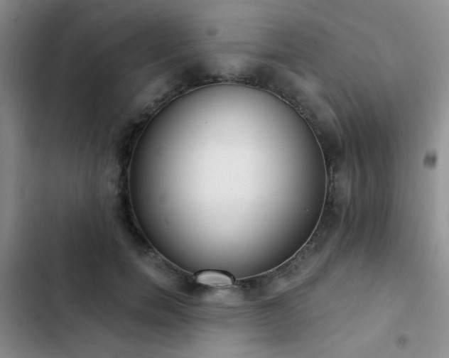 X0000102830750200808181324