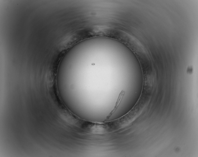 X0000102830751200808181324