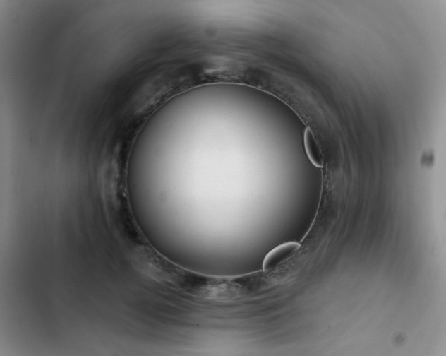 X0000102830752200808181324