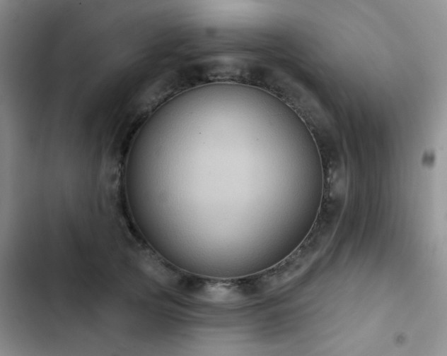 X0000102830753200808181324