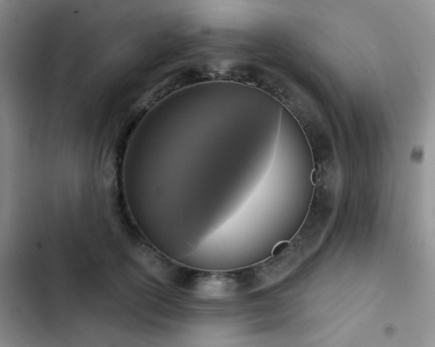 X0000102830754200808181324