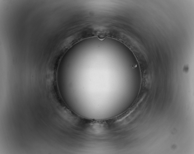 X0000102830756200808181324