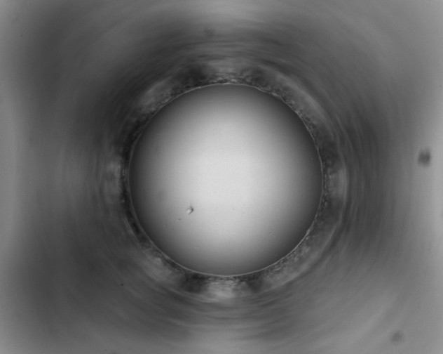 X0000102830757200808181324