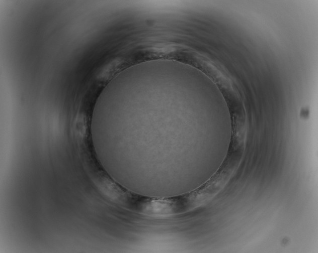 X0000102830758200808181324