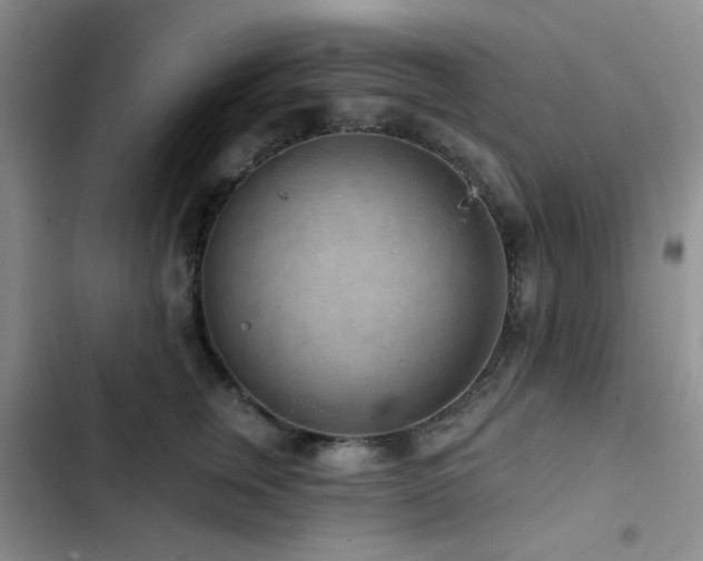 X0000102830759200808181324