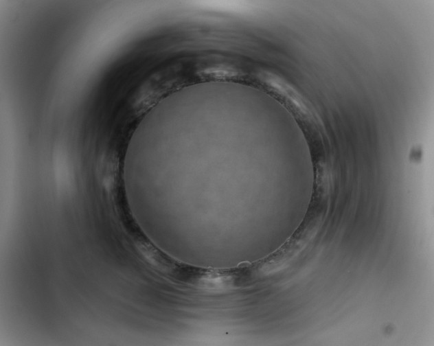 X0000102830760200808181324