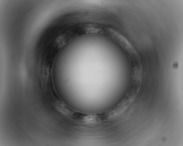 X0000102830761200808181324