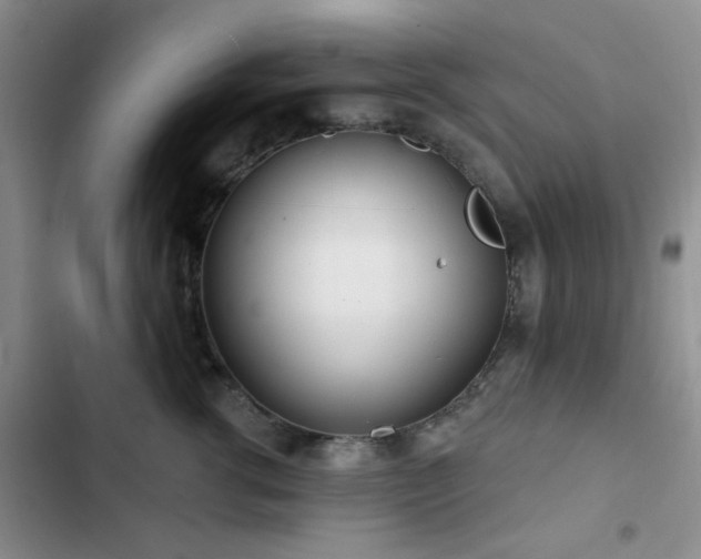 X0000102830762200808181324