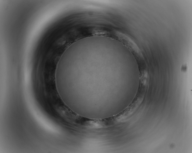 X0000102830763200808181324