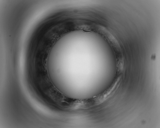 X0000102830764200808181324