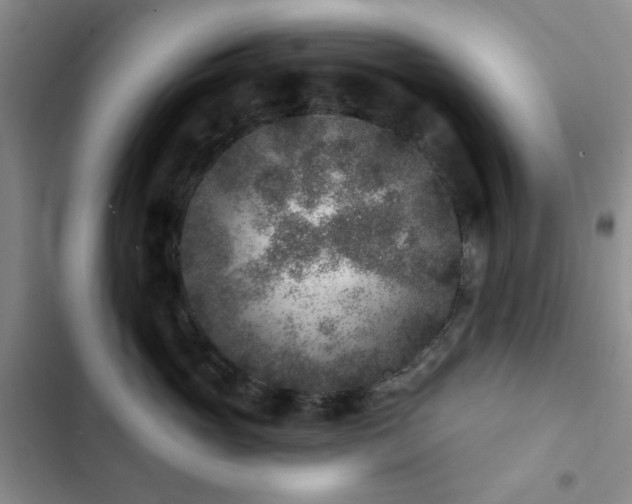 X0000102830765200808181324