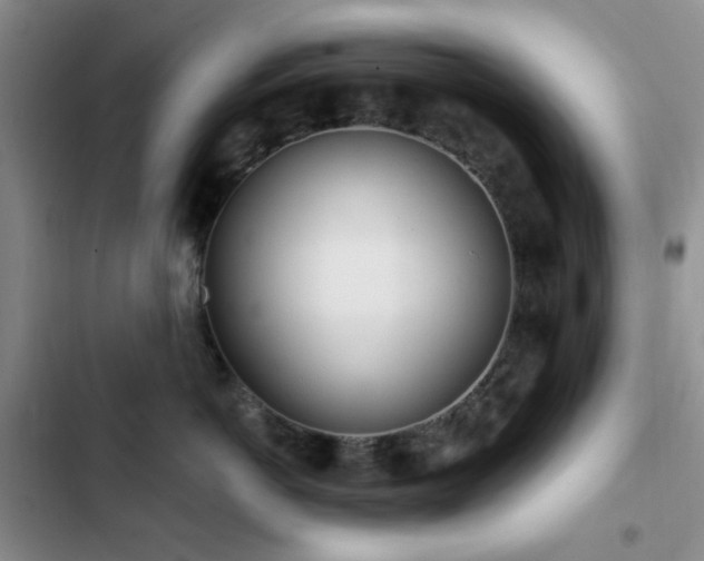 X0000102830766200808181324