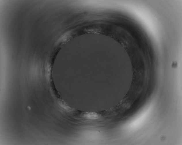 X0000102830767200808181324