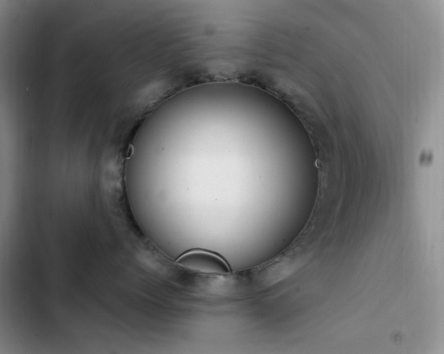 X0000102830768200808181324