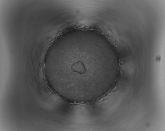 X0000102830769200808181323