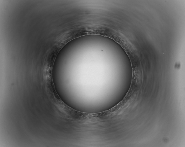 X0000102830770200808181323