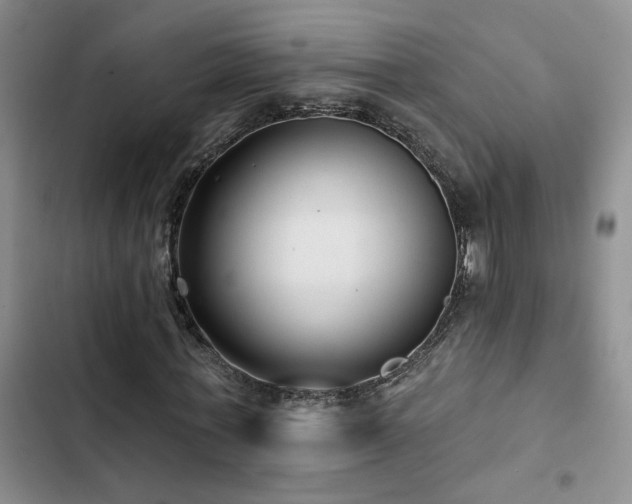 X0000102830771200808181323