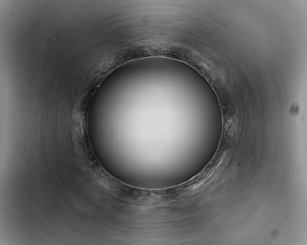 X0000102830772200808181323