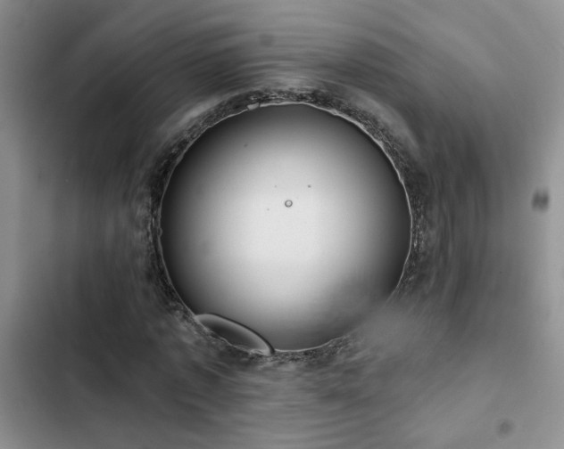 X0000102830773200808181323