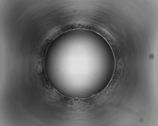 X0000102830774200808181323