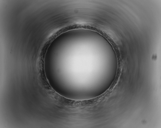 X0000102830776200808181323