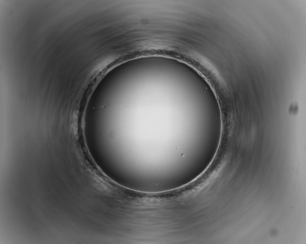 X0000102830777200808181323