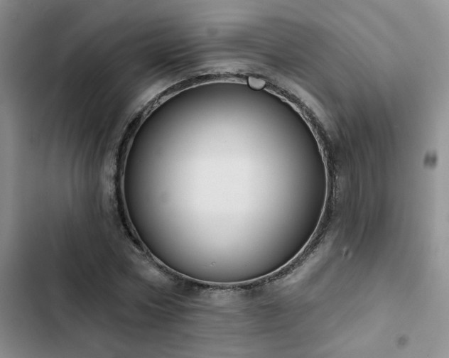 X0000102830778200808181323