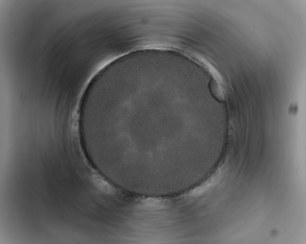 X0000102830779200808181323