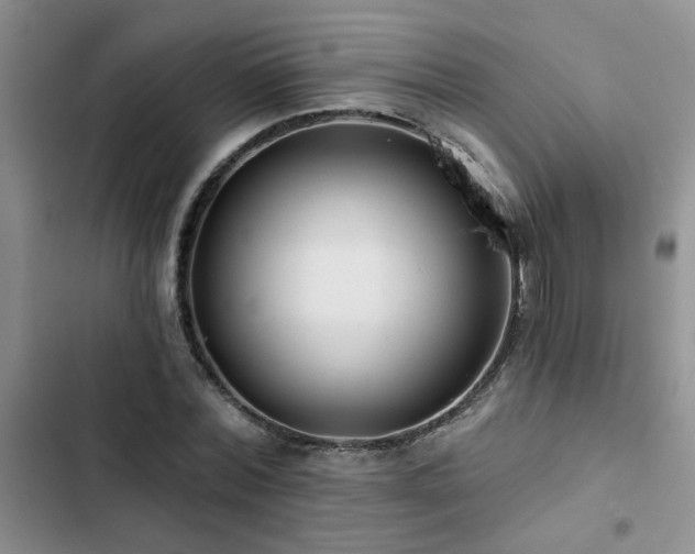X0000102830780200808181323