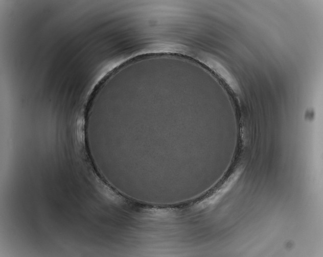 X0000102830781200808181323