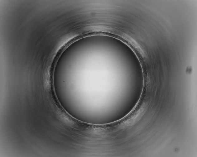 X0000102830782200808181323
