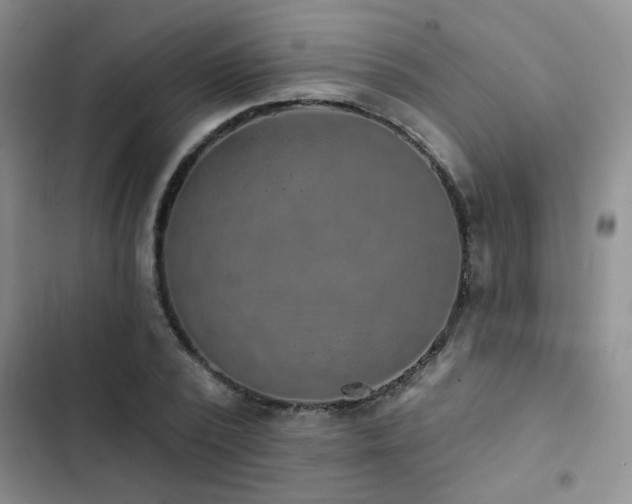 X0000102830784200808181323